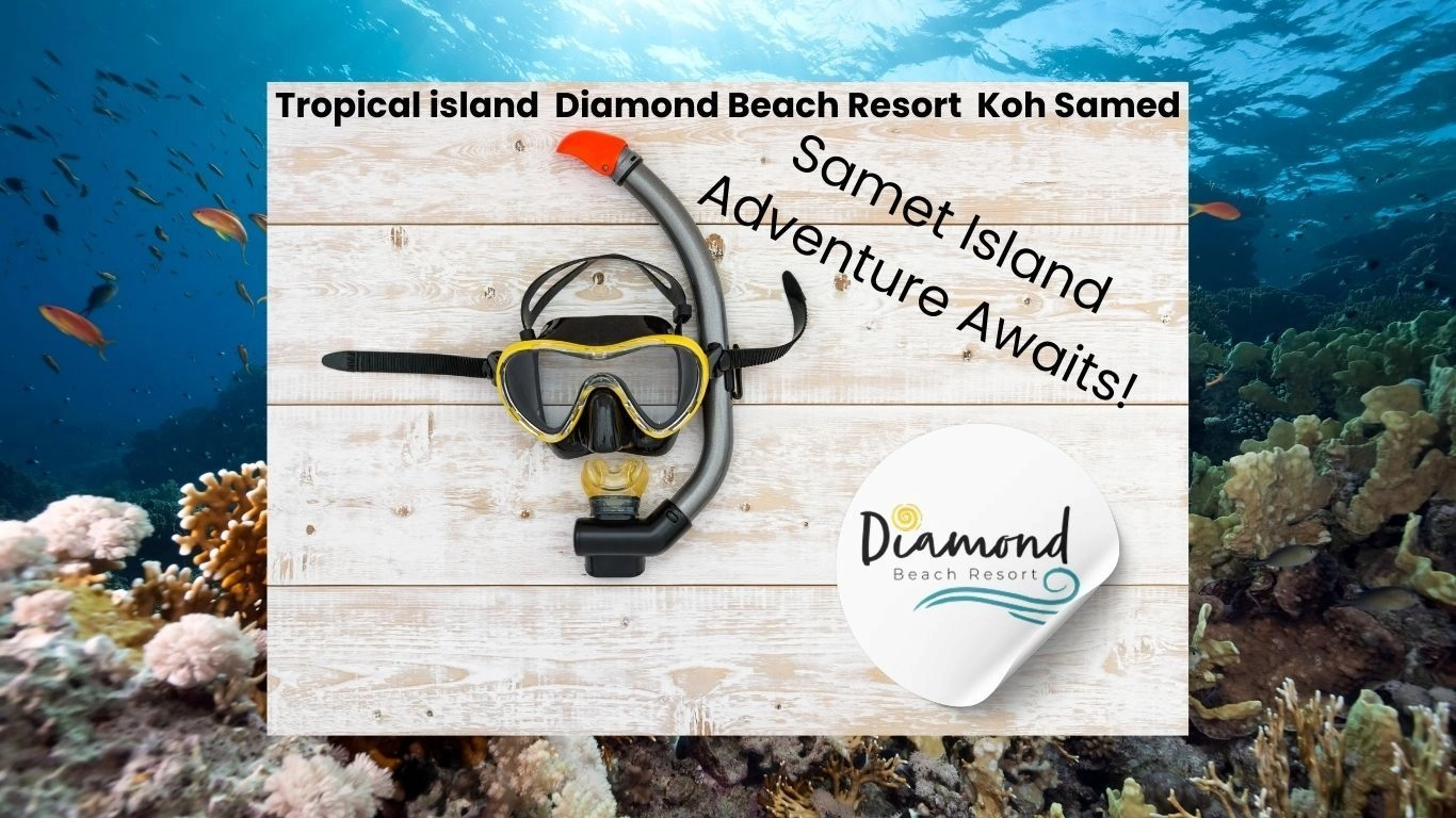 Island Excursions